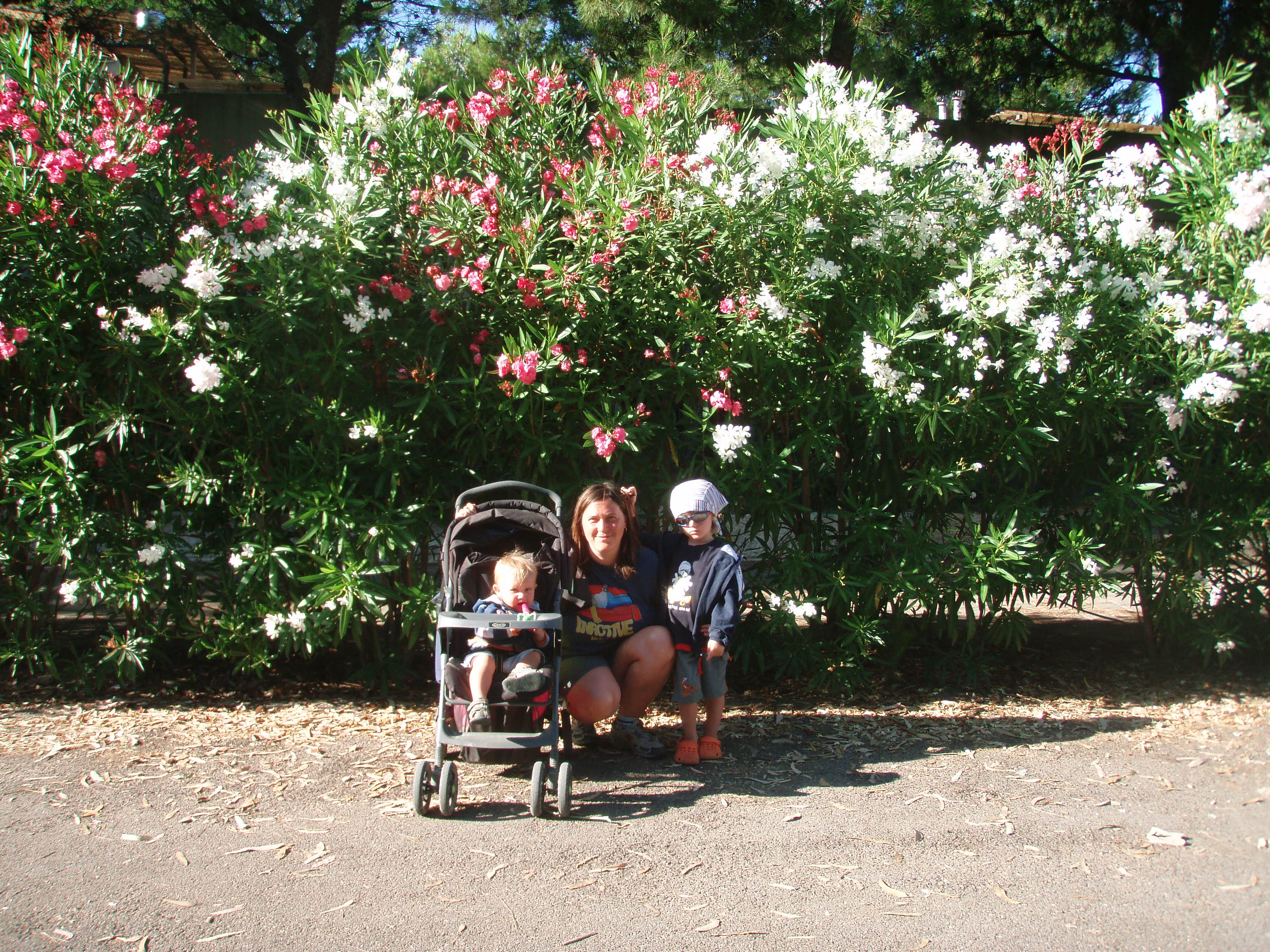 Torre Rinalda 145.JPG