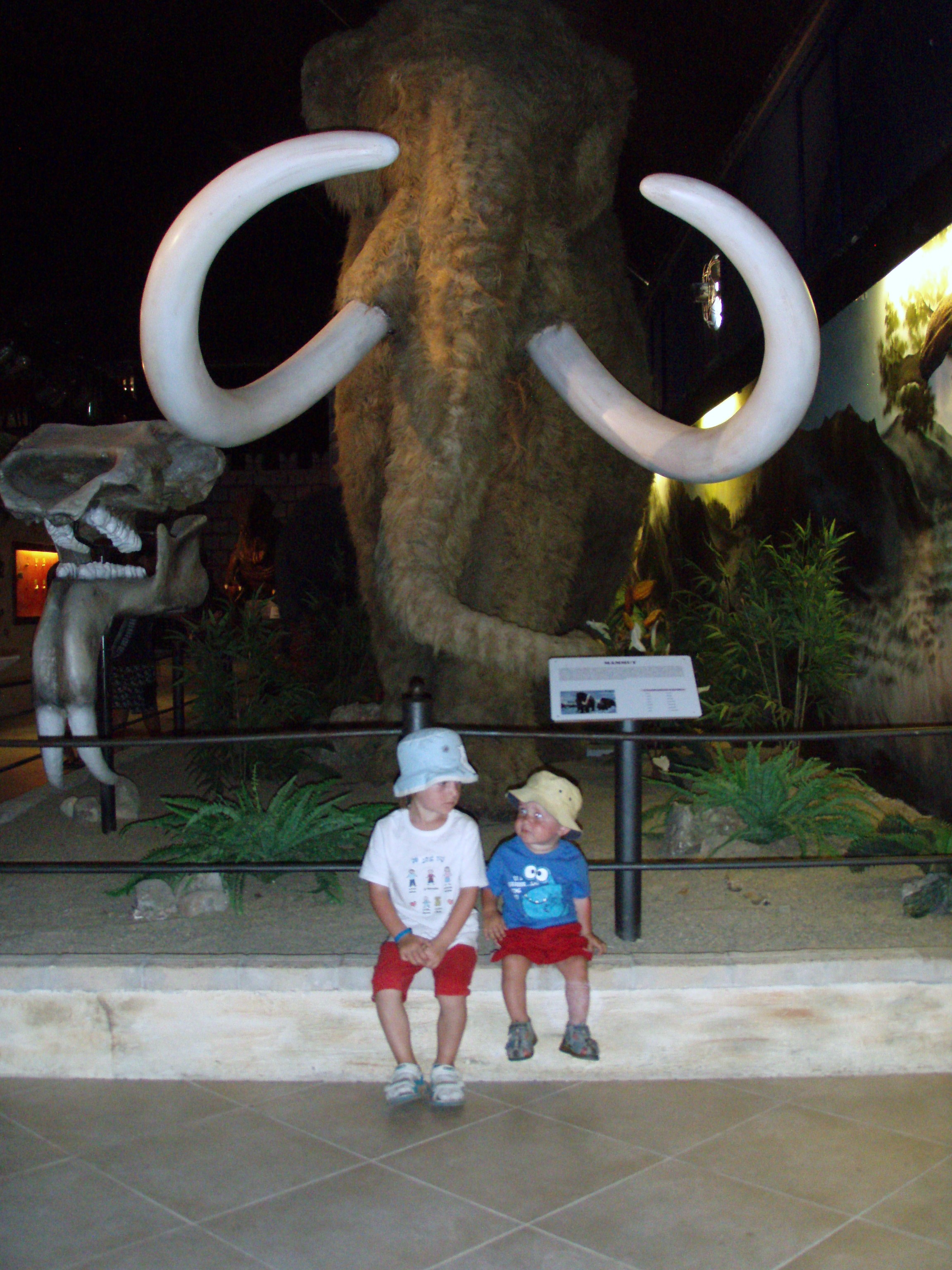 Torre Rinalda 194.JPG